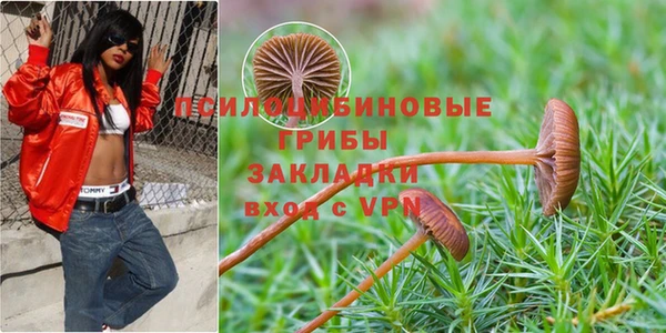 молекула духа Переславль-Залесский