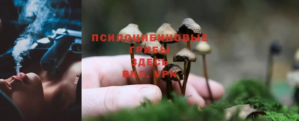 таблы Алексеевка
