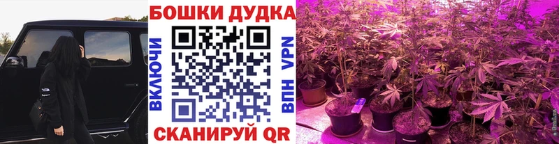 shop официальный сайт  Биробиджан  Конопля семена 